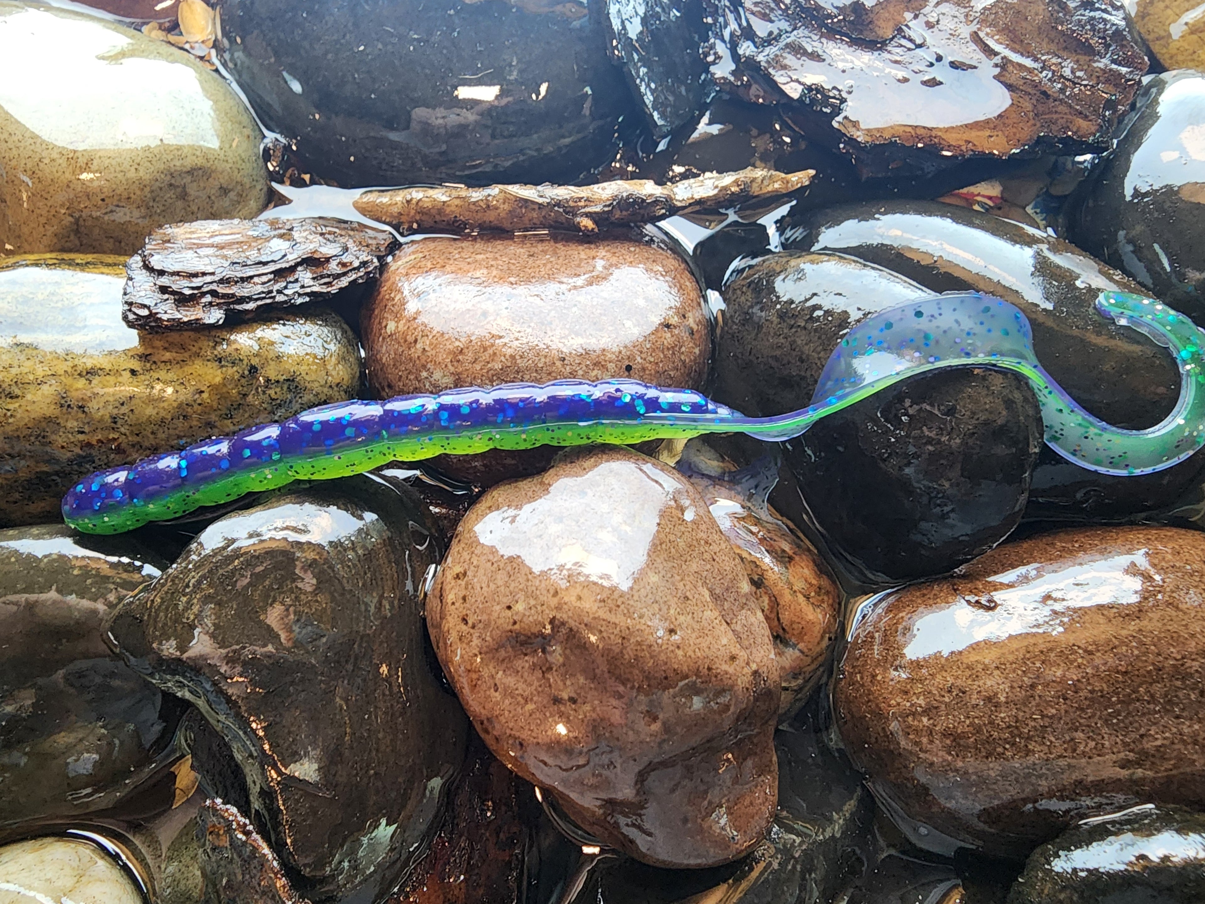 Anthem worm