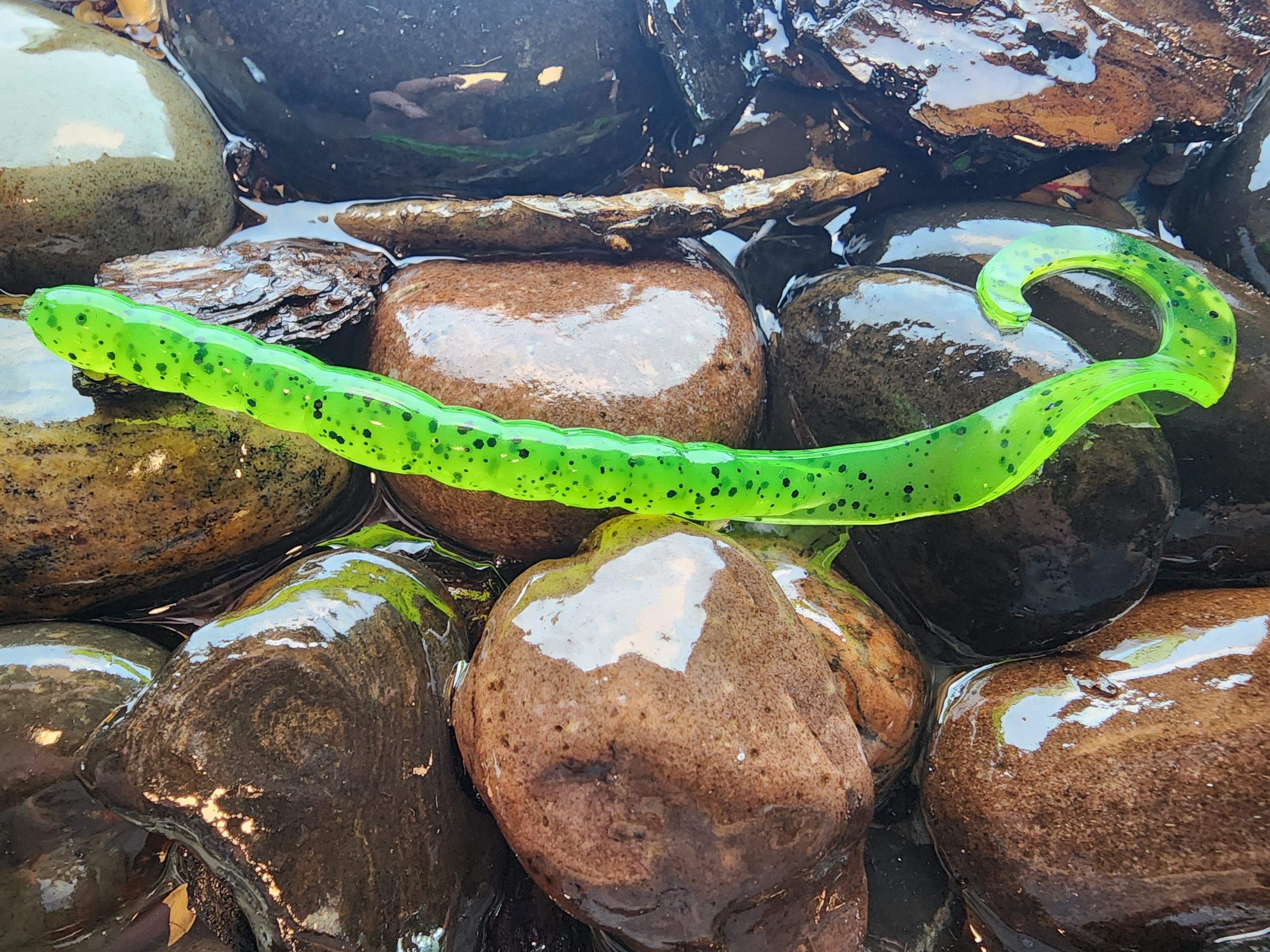 Anthem worm