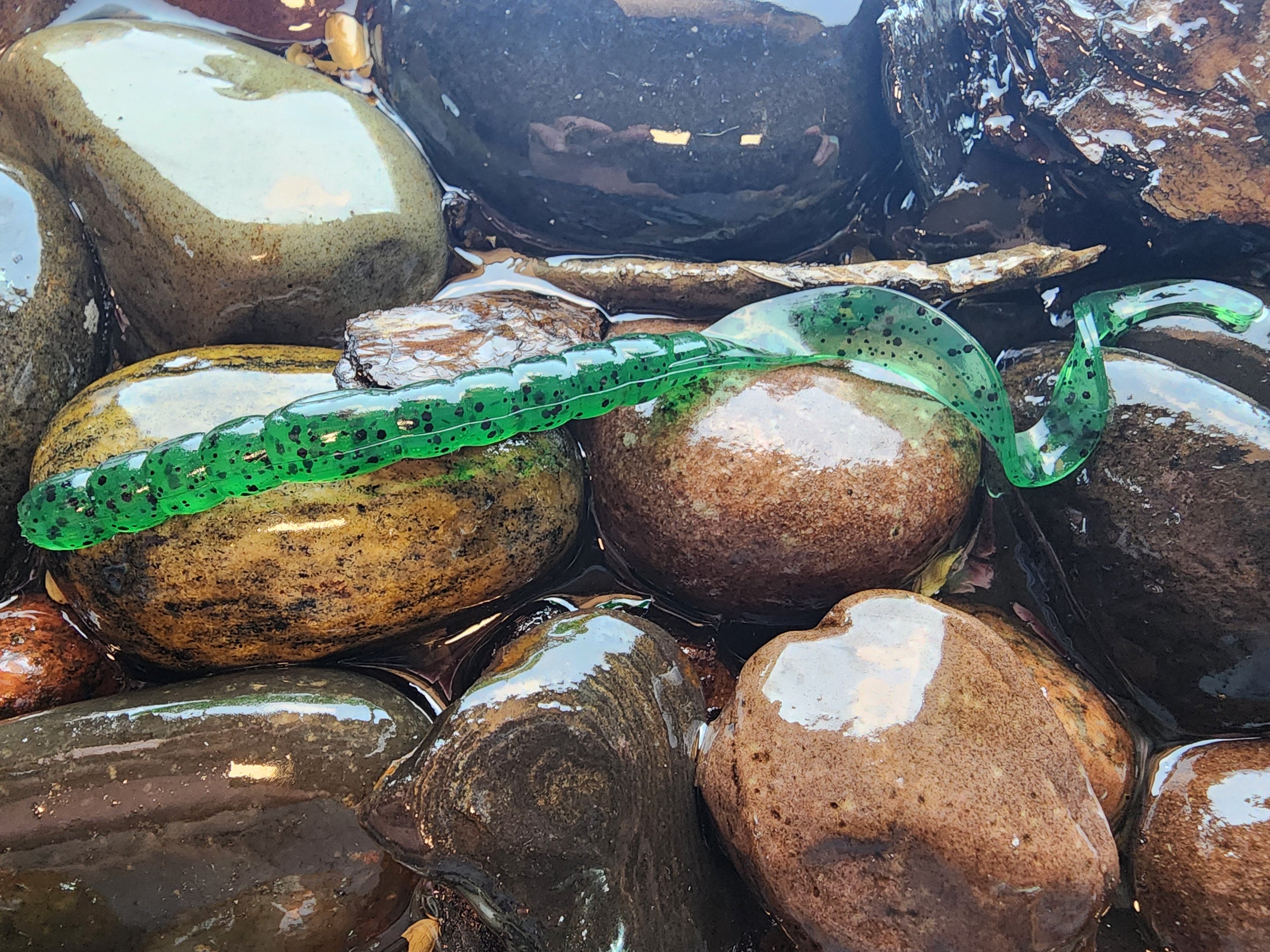 Anthem worm