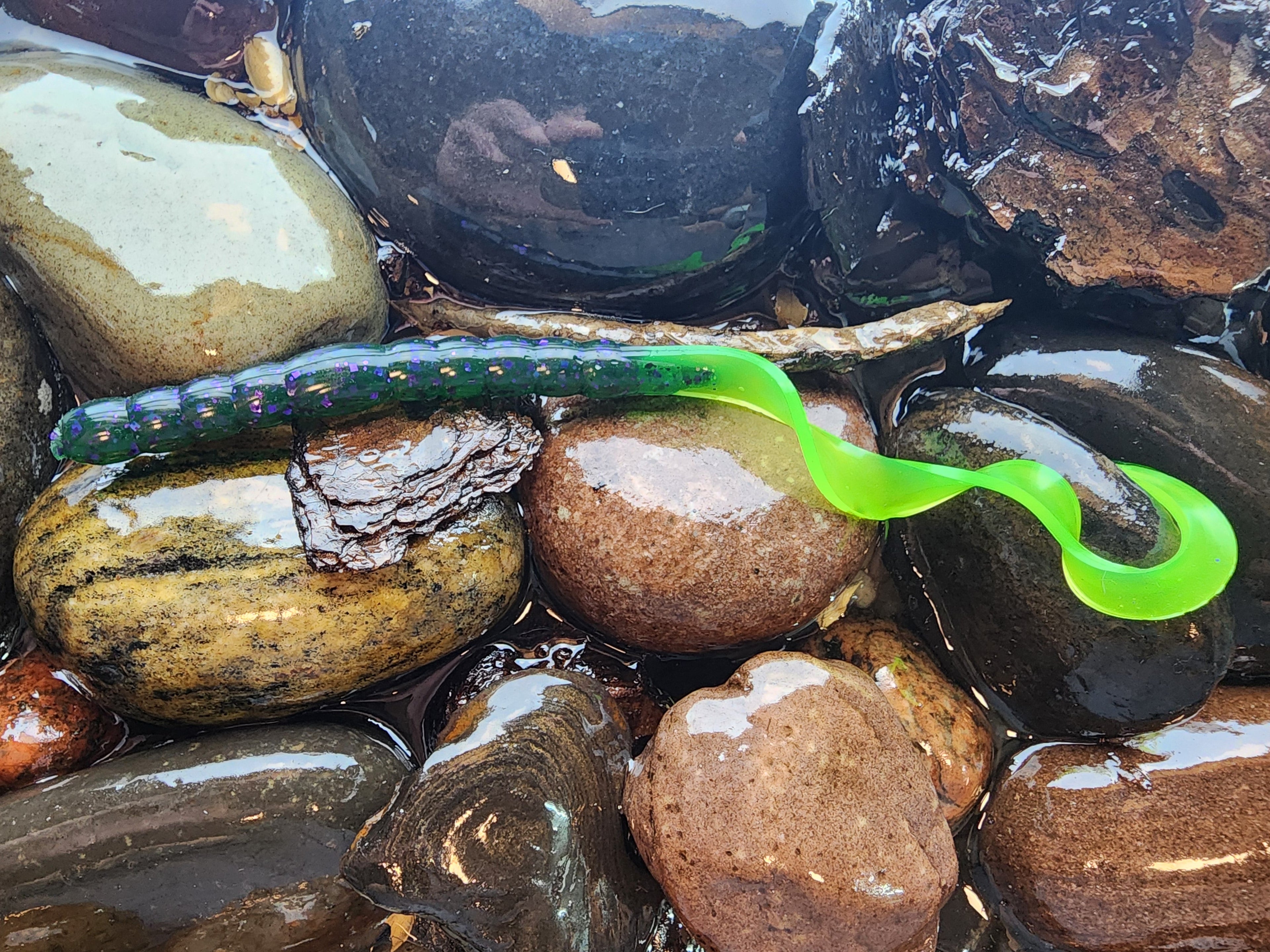Anthem worm