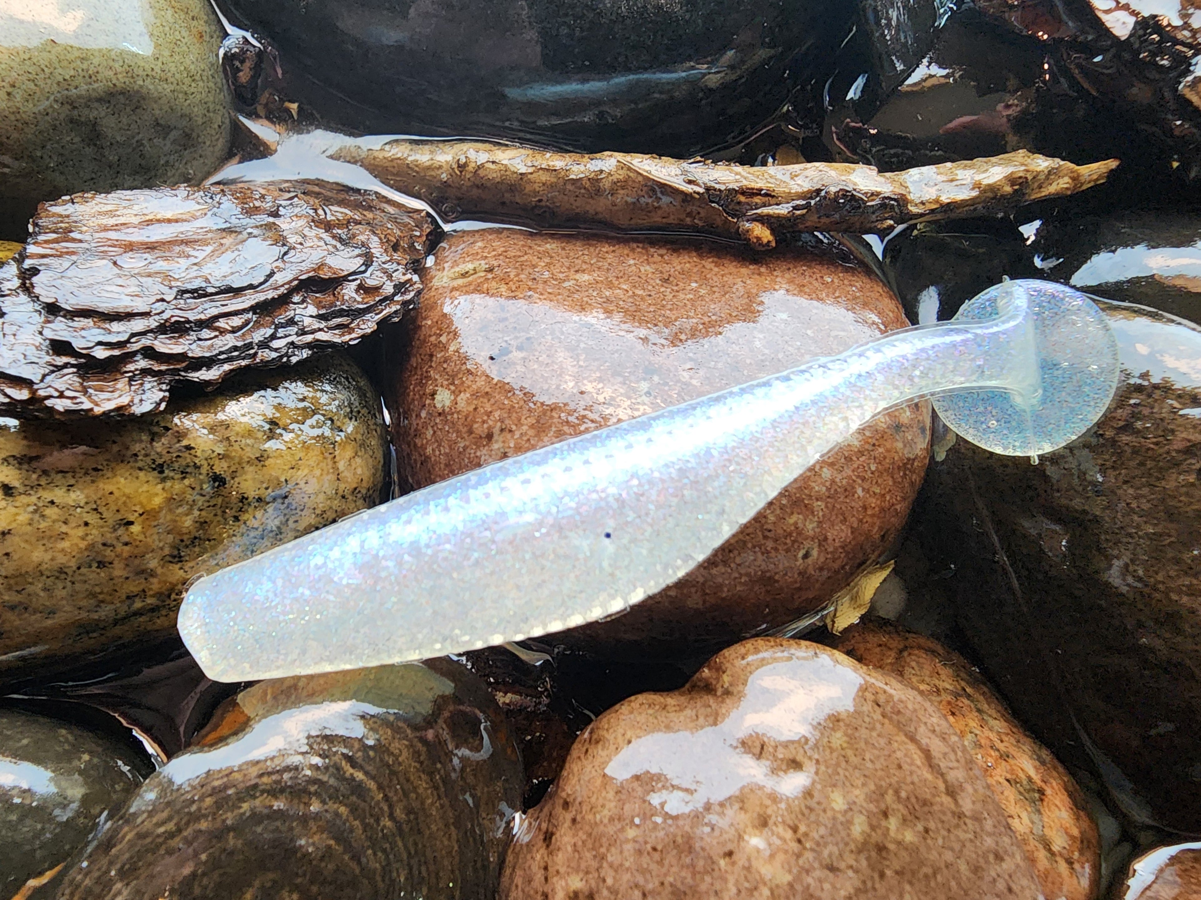 Saratoga Swimbait