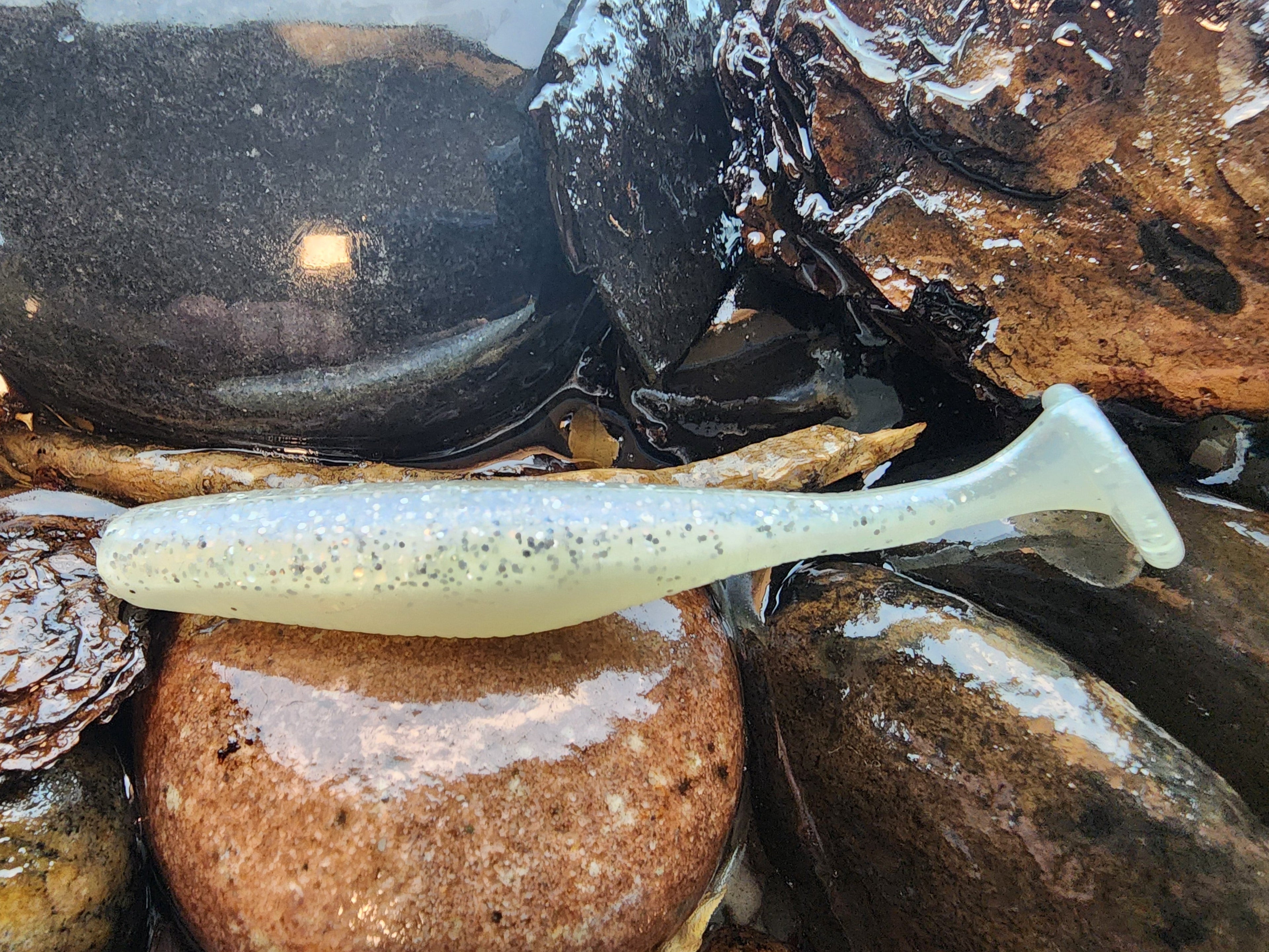 Saratoga Swimbait