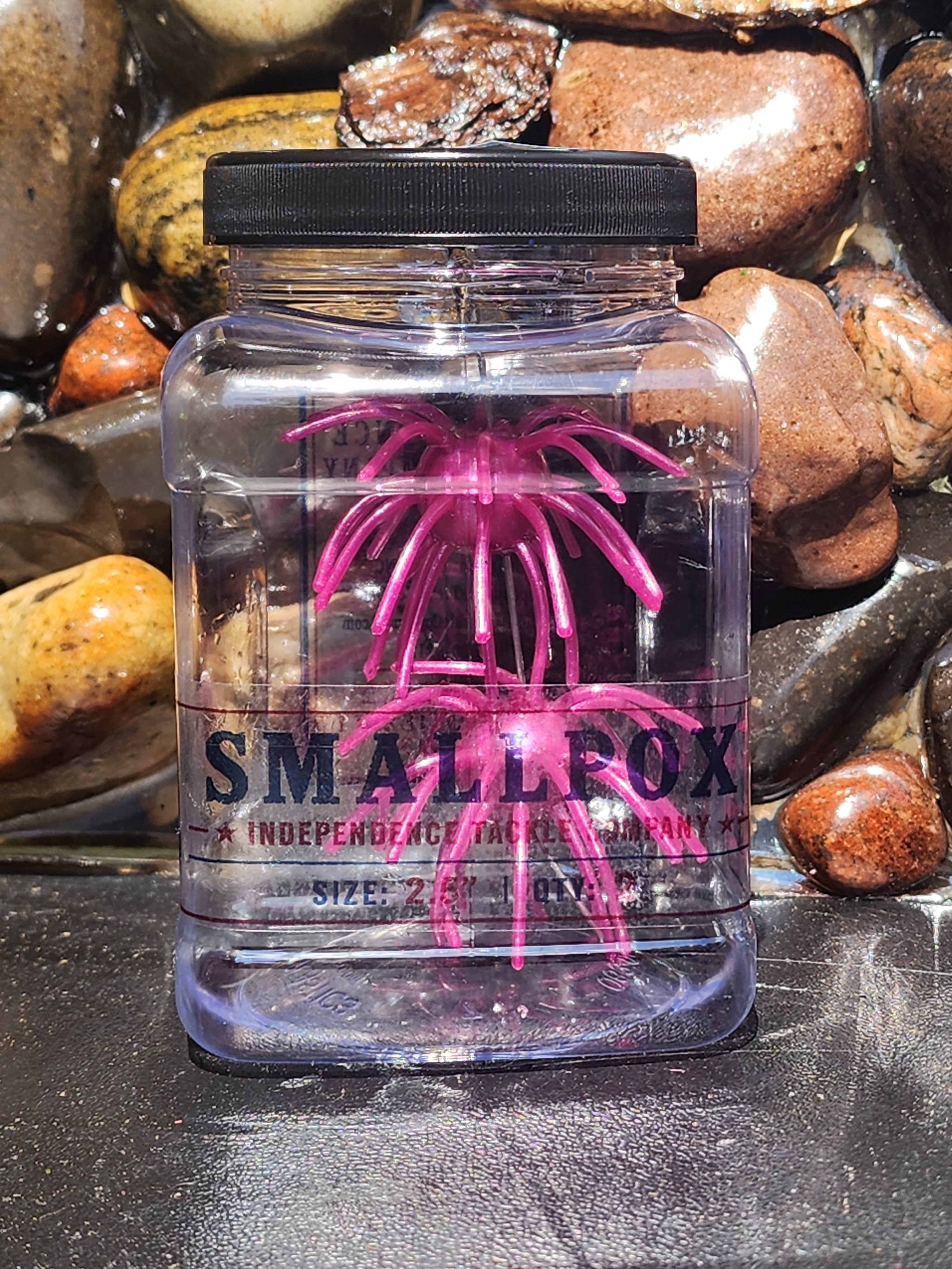 Small Pox