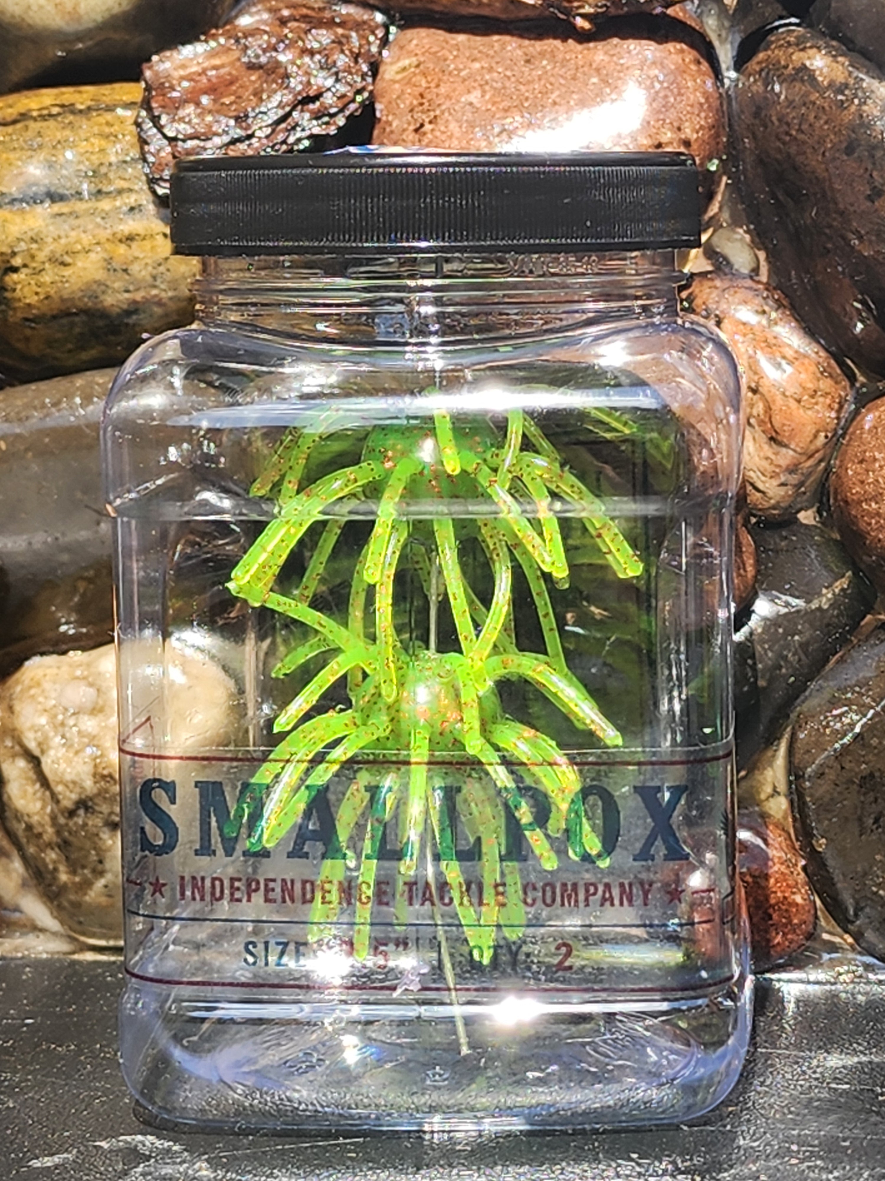 Small Pox